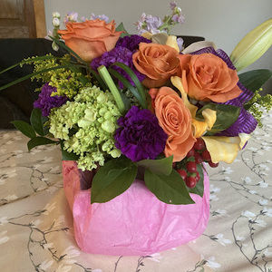 Meet your Posher, Marilyn